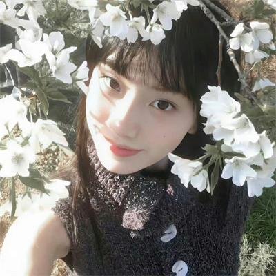 护花大臣