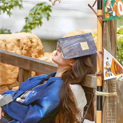 帕奥精神:凤凰高飞